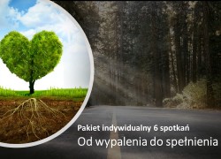 Spójność Zawodowa